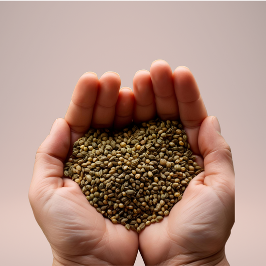 Coriander Seed