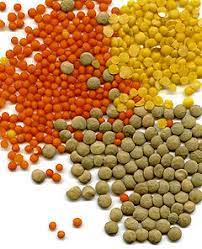 Pulses